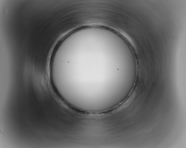 X0000099460840200805090746