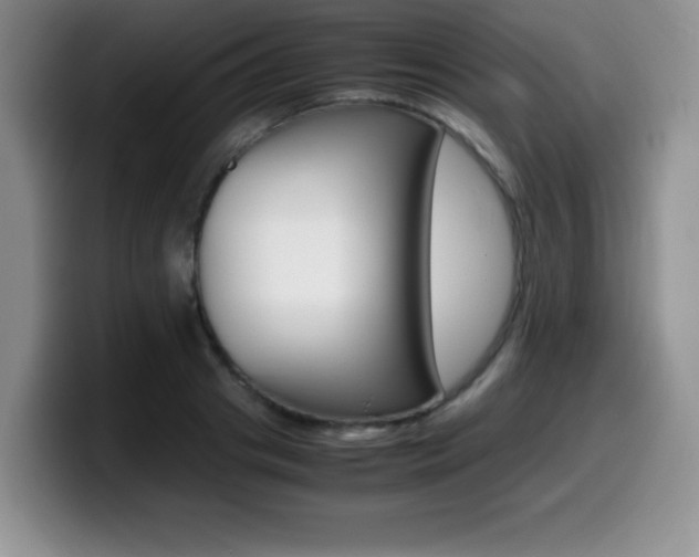 X0000099460841200805090746