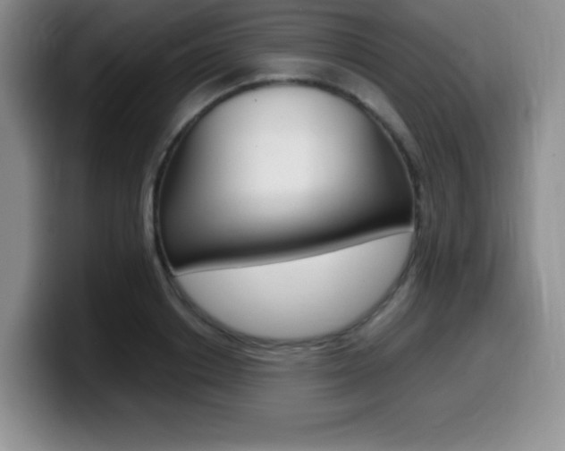 X0000099460842200805090746
