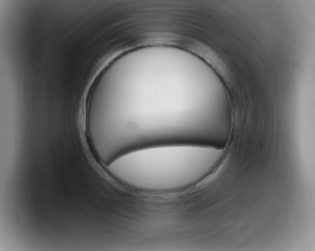 X0000099460844200805090746