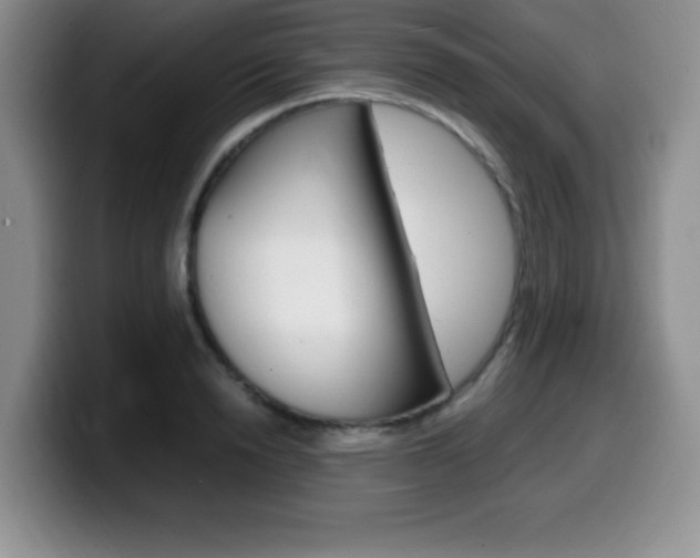 X0000099460846200805090746