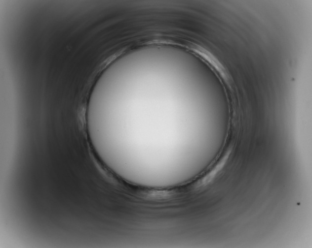 X0000099460849200805090746