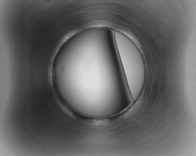 X0000099460850200805090746