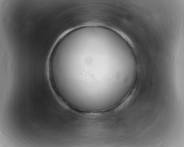 X0000099460854200805090746