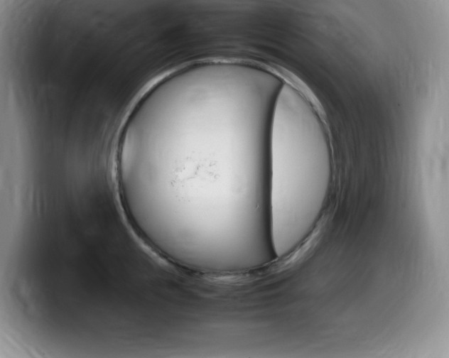 X0000099460855200805090746