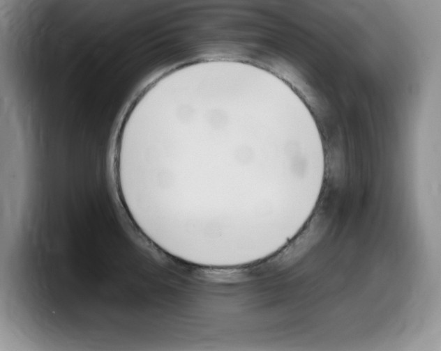 X0000099460856200805090746