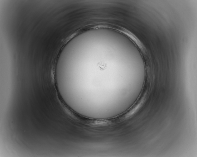 X0000099460857200805090746