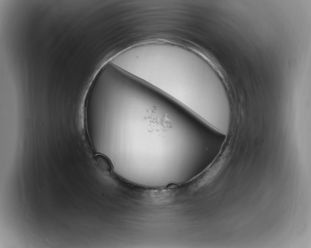 X0000099460858200805090746