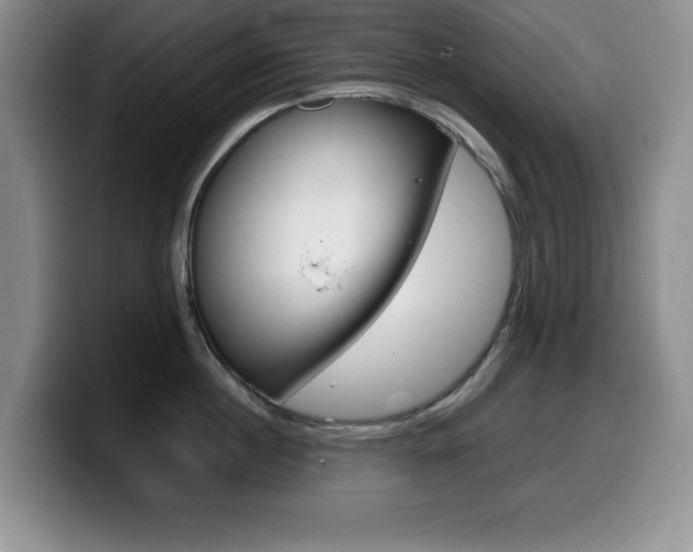 X0000099460860200805090746