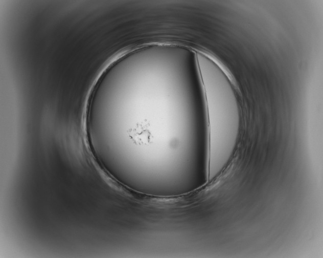 X0000099460861200805090746