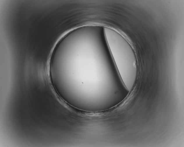 X0000099460862200805090746