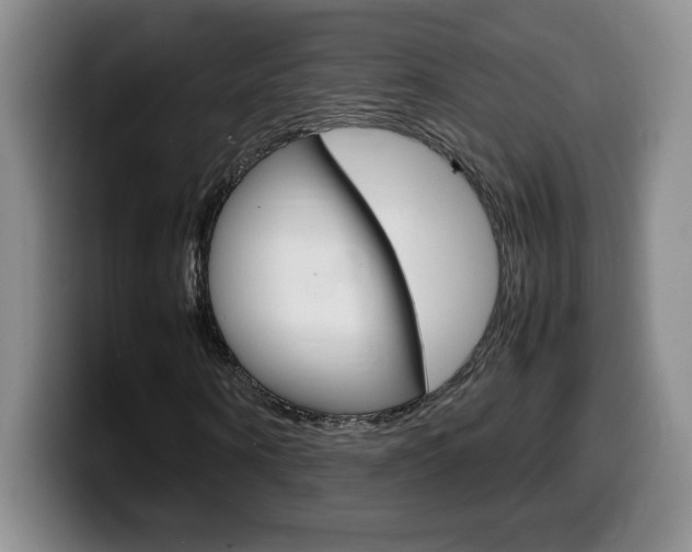 X0000099460866200805090745