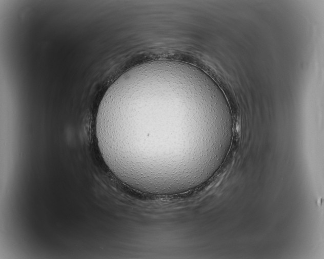 X0000099460867200805090745