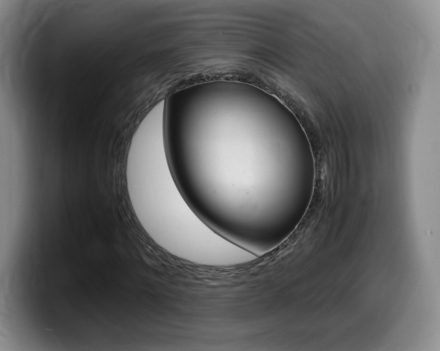 X0000099460868200805090745
