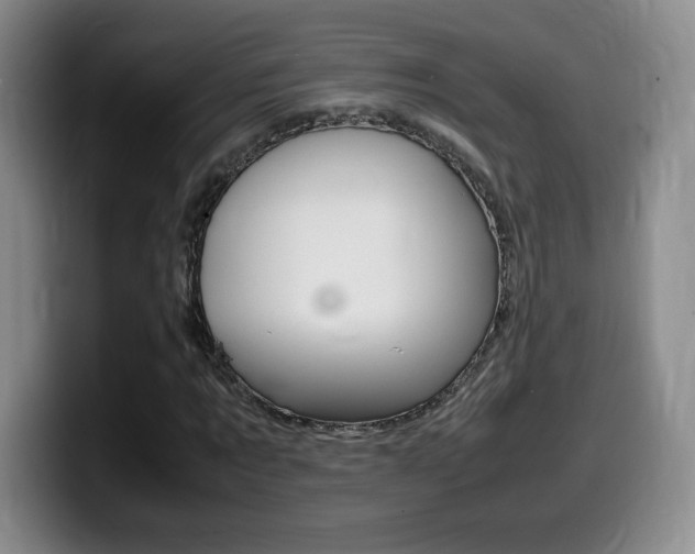 X0000099460869200805090745