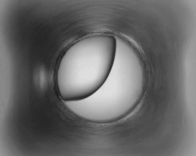 X0000099460873200805090745