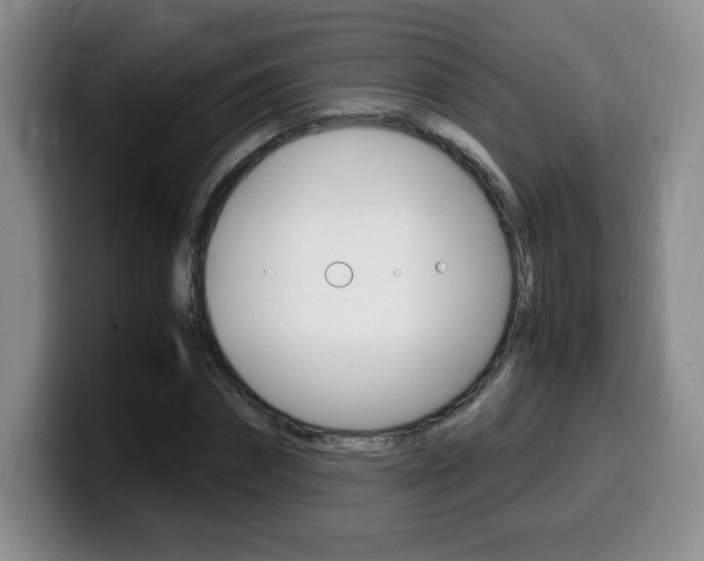 X0000099460874200805090745