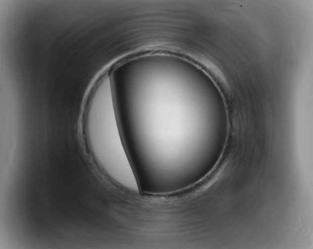 X0000099460880200805090745