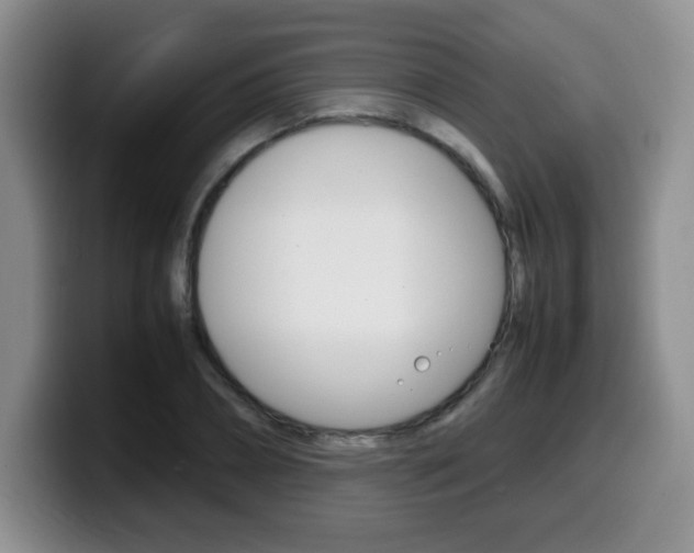 X0000099460882200805090745