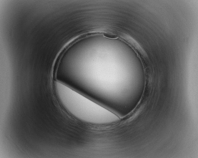 X0000099460884200805090745