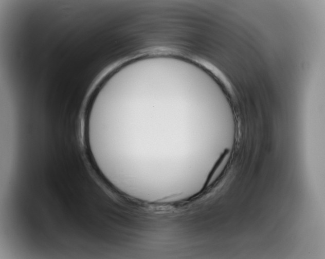 X0000099460886200805090745
