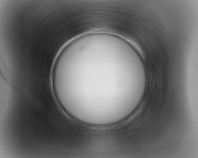 X0000099460888200805090745