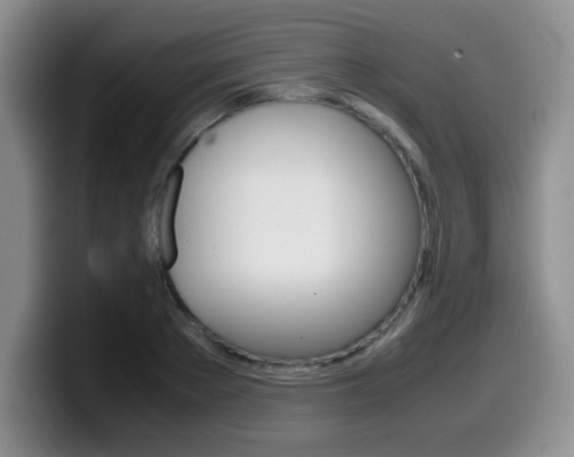 X0000099460889200805090745