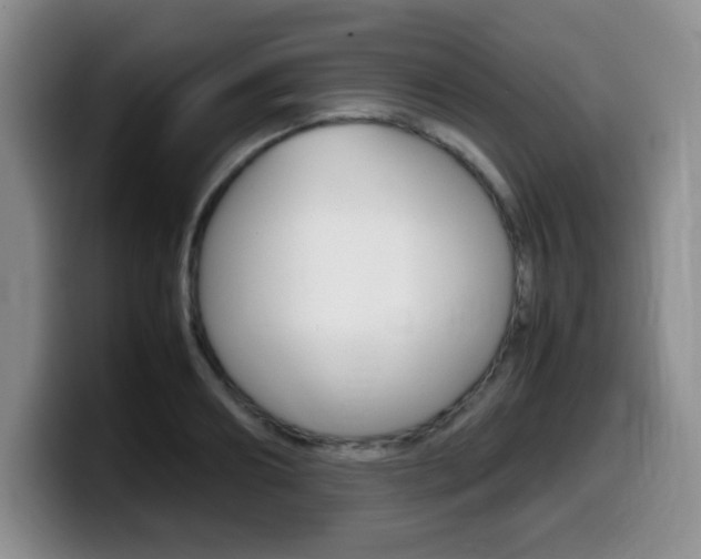 X0000099460890200805090745