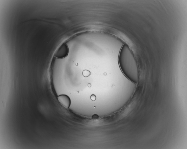 X0000099460891200805090745