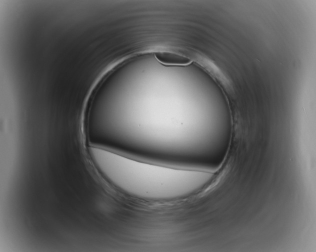 X0000099460892200805090745