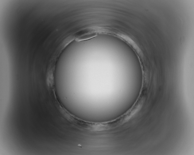 X0000099460897200805090745