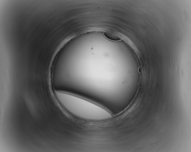 X0000099460898200805090745