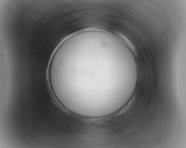 X0000099460900200805090745