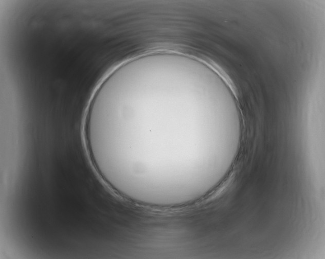 X0000099460901200805090745