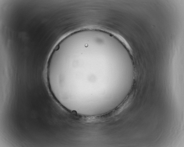 X0000099460903200805090745