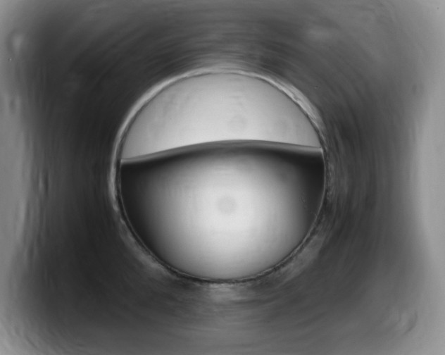 X0000099460904200805090745