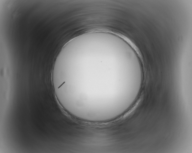 X0000099460905200805090745