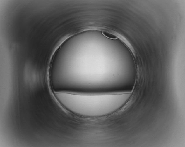 X0000099460906200805090745