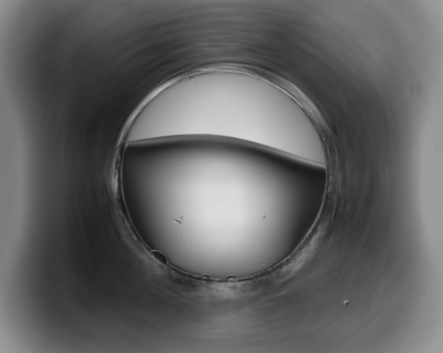 X0000099460908200805090745