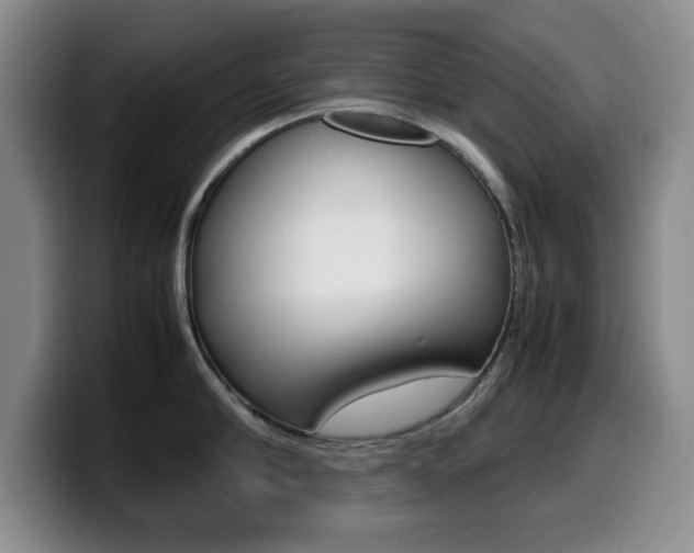 X0000099460910200805090745