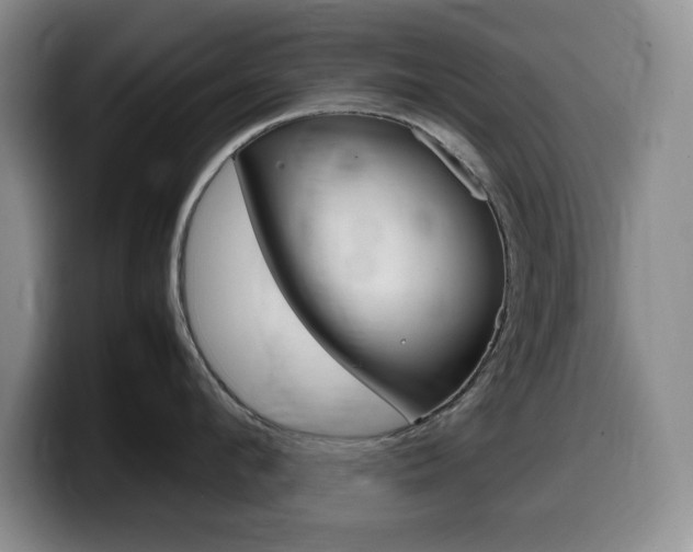 X0000099460912200805090745
