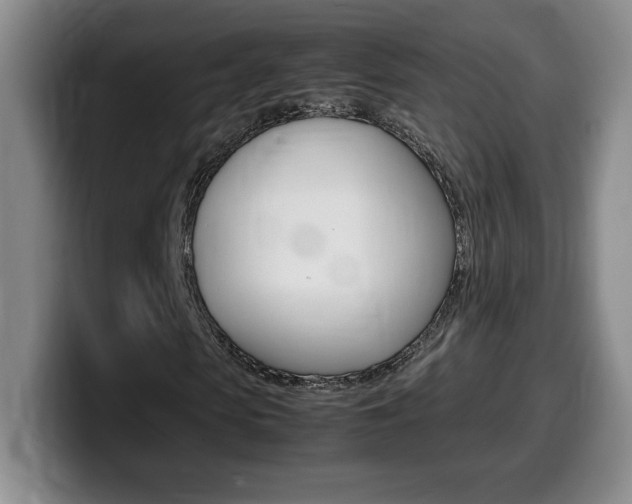 X0000099460913200805090744