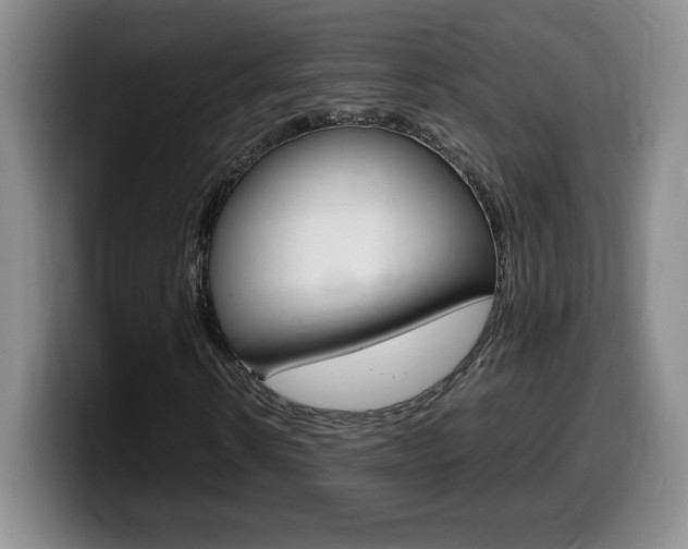 X0000099460914200805090744