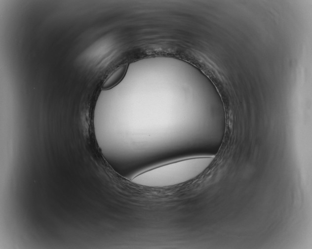 X0000099460915200805090744