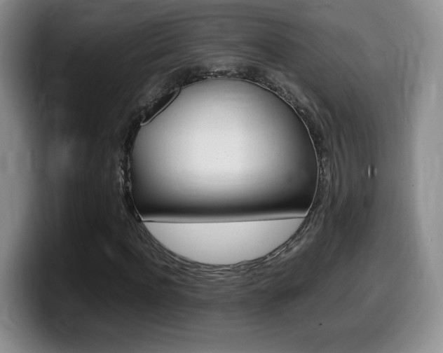 X0000099460916200805090744