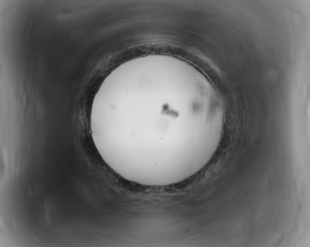 X0000099460918200805090744