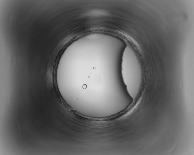 X0000099460921200805090744