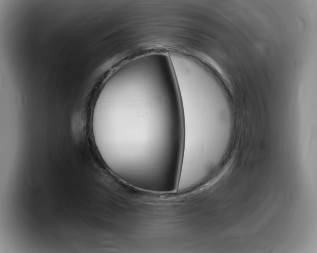 X0000099460922200805090744