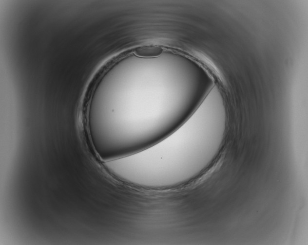 X0000099460924200805090744