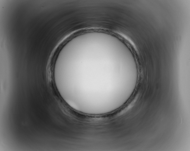 X0000099460925200805090744